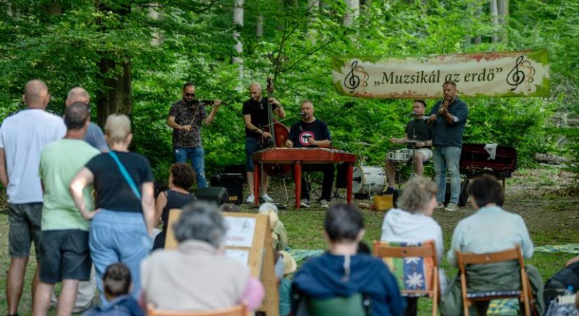 Szombattól muzsikál a Mátra - kultura.hu