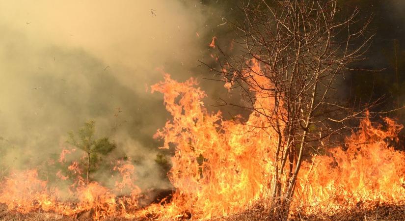 Lángra kapott egy kaszáló Csapodnál - Tíz tűzoltóegység sietett a helyszínre - Kisalföld