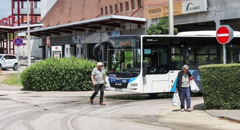 Hivatalos! Itt az új T-Busz menetrend: a menetdíjak is nőttek - Kemma