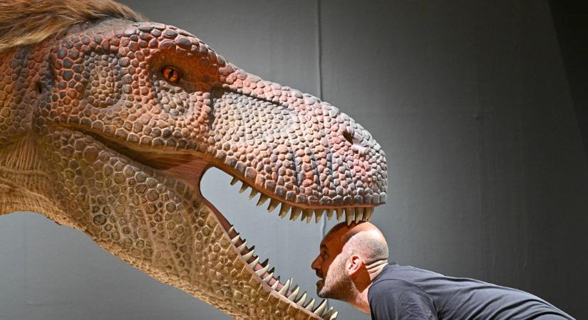 Ezek a hétfő legizgalmasabb képei: a gigantikus krumpligombóctól a csalánevő versenyig - Blikk - Kvíz