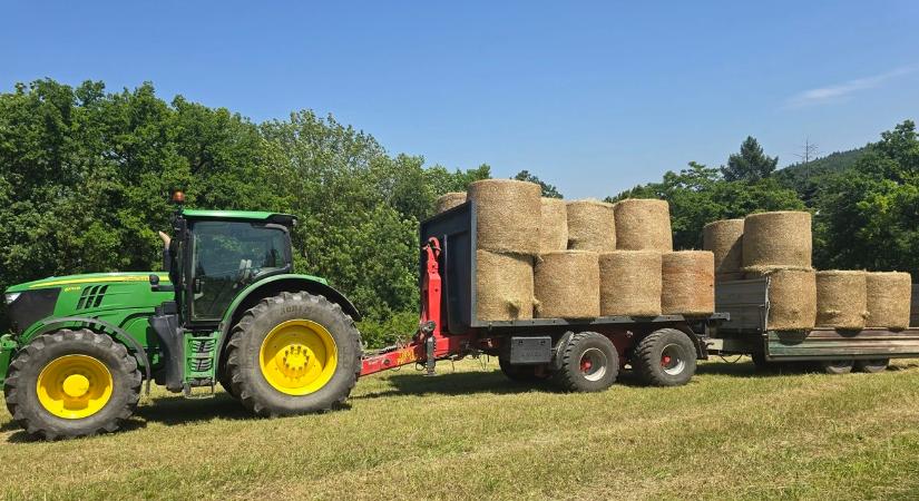 Csöbörből vödörbe? Így alakul a következő napok időjárása! - Agroinform