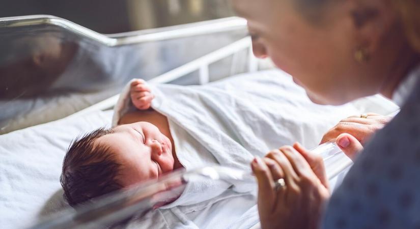 „Én hazahoztam volna legszívesebben azt a bántalmazott kisfiút is” - Nőiváltó