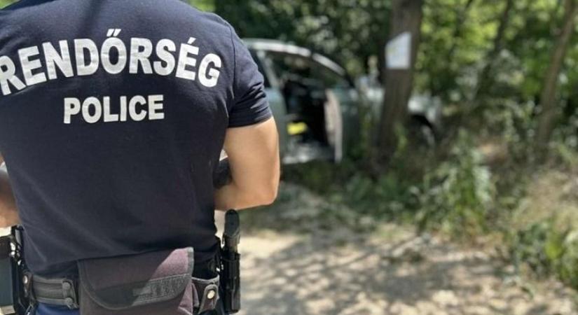Búzának próbálta álcázni magát a kábszis bácsi, a machete volt a ráadás - Kemma