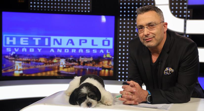 „Minden férfitársamnak ajánlom, hogy 50 körül merjen bevállalni még egy gyereket” – Sváby Andrással beszélgettünk - Nlc