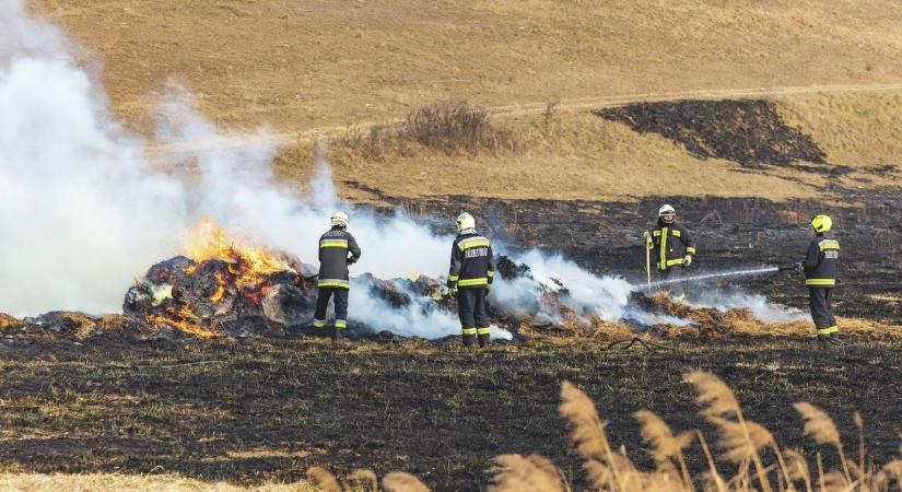 Eldobsz egy csikket, és már jön is a bírság – szigorú tilalom lépett életbe, Hevest is fenyegeti - Heol