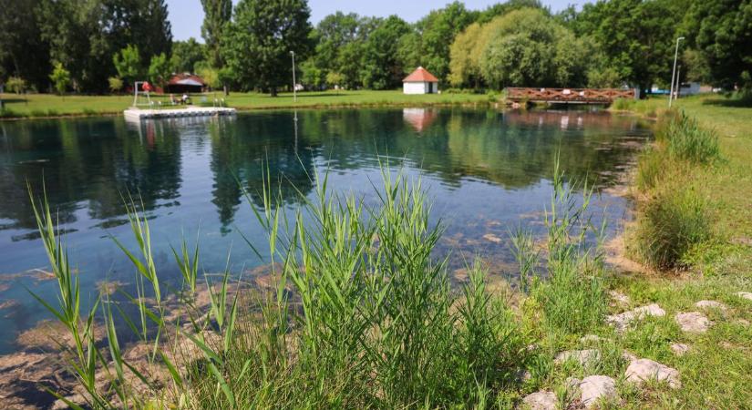 Fürdési tilalom a Grófi-tóban – ez a baktérium került a vízbe - Kemma
