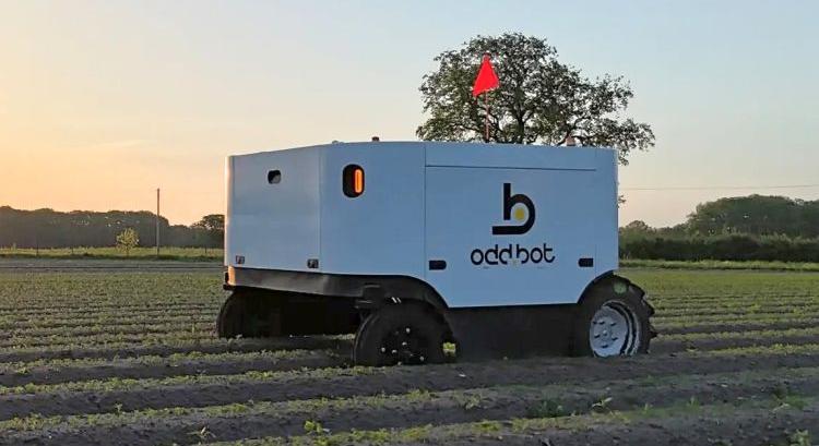 Precíziós gyomirtás robotikával: Maverick a sorok között - GépMax