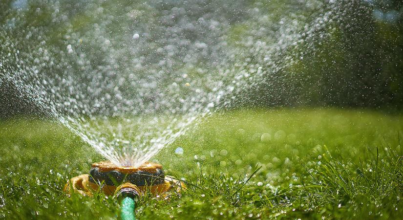 Az agglomerációban már életbe lépett a locsolási tilalom - Napi.hu
