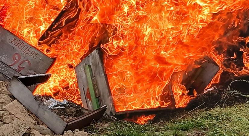 Válságban a magyar méhészet: van, aki már égeti a kaptárokat - Agroinform
