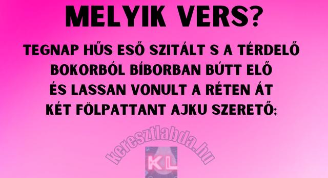 Napi irodalom feladat: Felismered a verset? - Keresztlabda