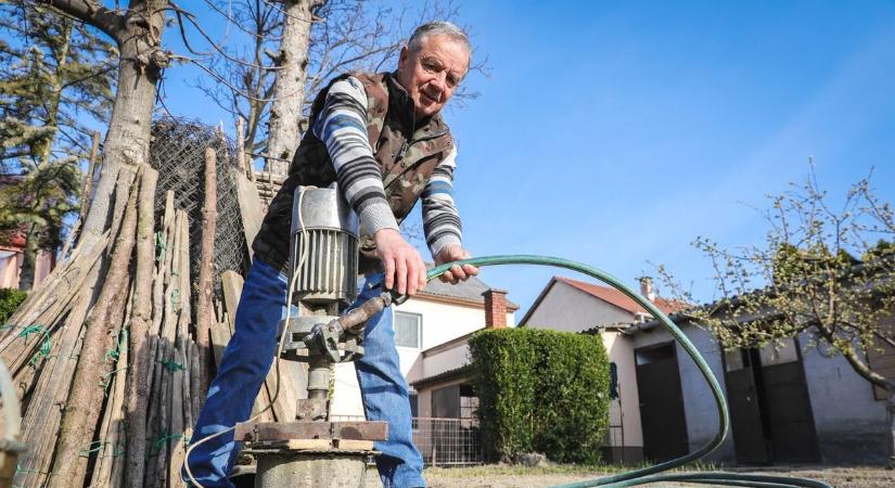 Ne nyírd ki a gyeped! Tippek, hogy maradhat szép zöld a pázsit - Sonline