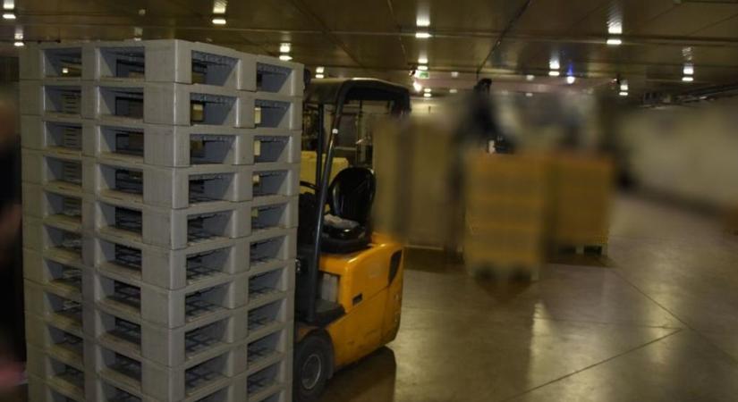 Munkahelyi horror egy üzemben, raklapok zuhantak a dolgozóra - BAON