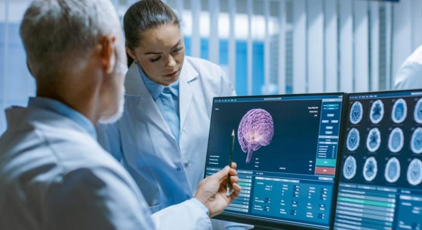 Az agyunk ebben még sokkal jobb, mint a mesterséges intelligencia - kultura.hu
