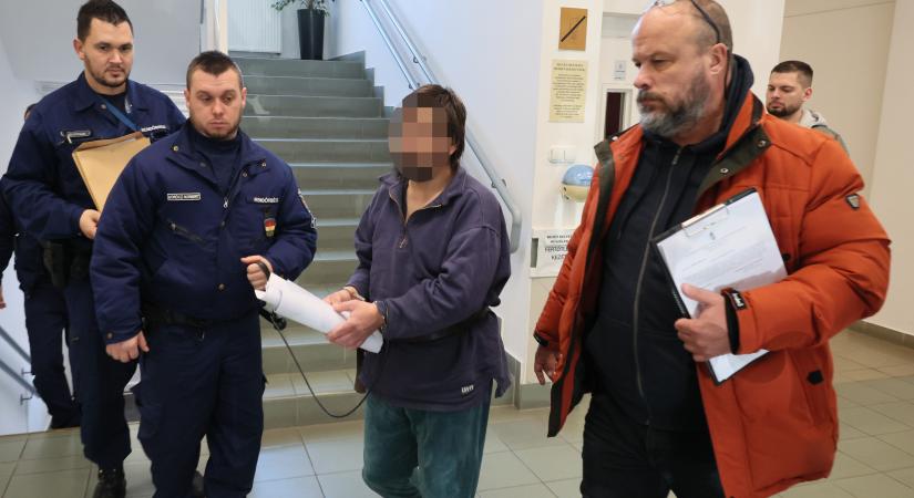 Egész nyárra a börtönben maradhat Zsolt, aki fához kötözött és megerőszakolt egy kilencéves kislányt - Blikk
