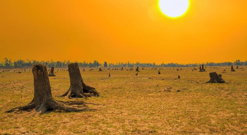 Kiadták a figyelmeztetést a világ vezető kutatói: tömeges fajkihalás és klímaválság várható