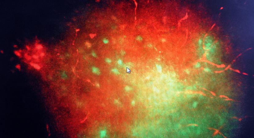 Alaszkai az új Einstein, felfedezhette az idő három dimenzióját - Infostart