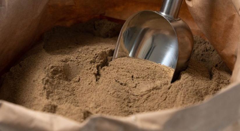 Magyar rovaripari szakember került európai vezető pozícióba - Agroinform