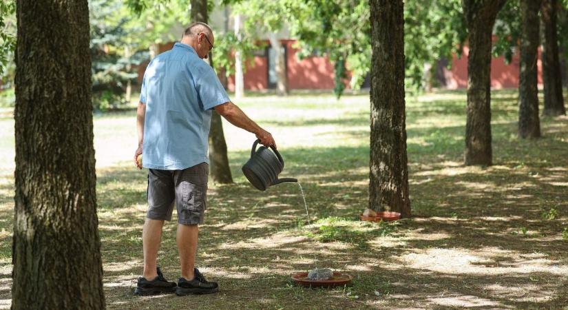 Szegeden egy nyugdíjas házaspár naponta tölti újra az itatókat, hogy a hőségben is túléljenek a városi szárnyasok – galériával, videóval - délmagyar