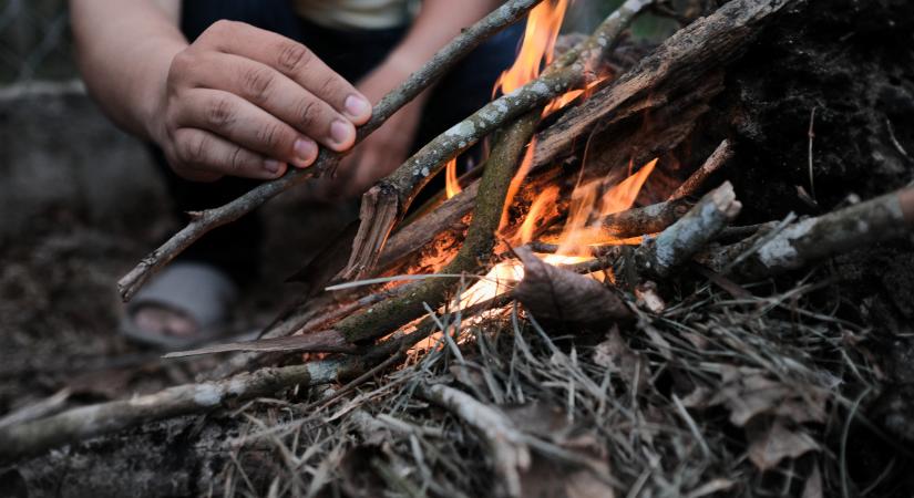 Fontos döntés született: szerdától tilalom jön az egész országban - Agrárszektor