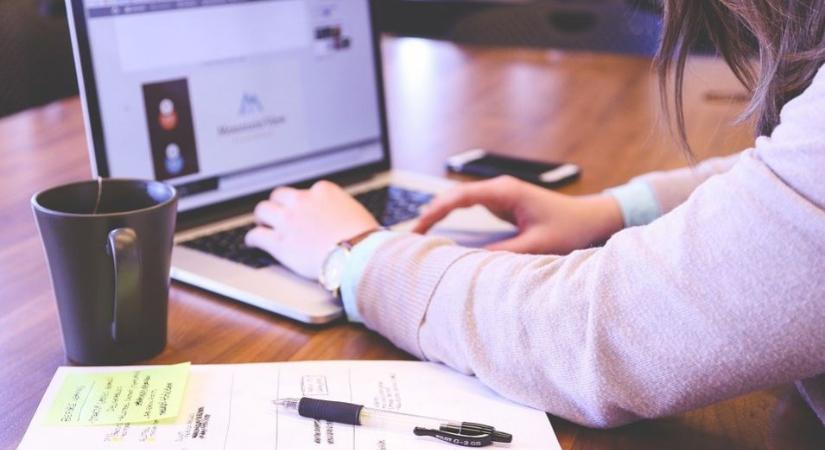 Már lehet jelentkezni a Nyári diákmunka 2025. programra - Eduline