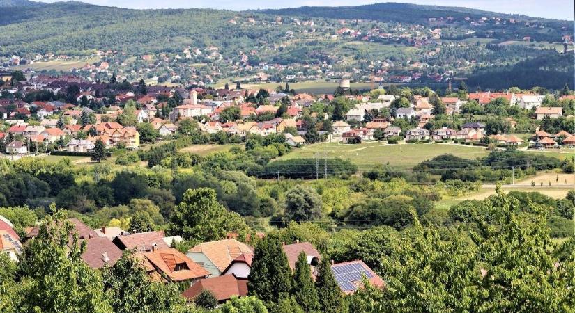 Szaporodnak, igénytelenek, és a hőség sem állítja meg őket - Boon