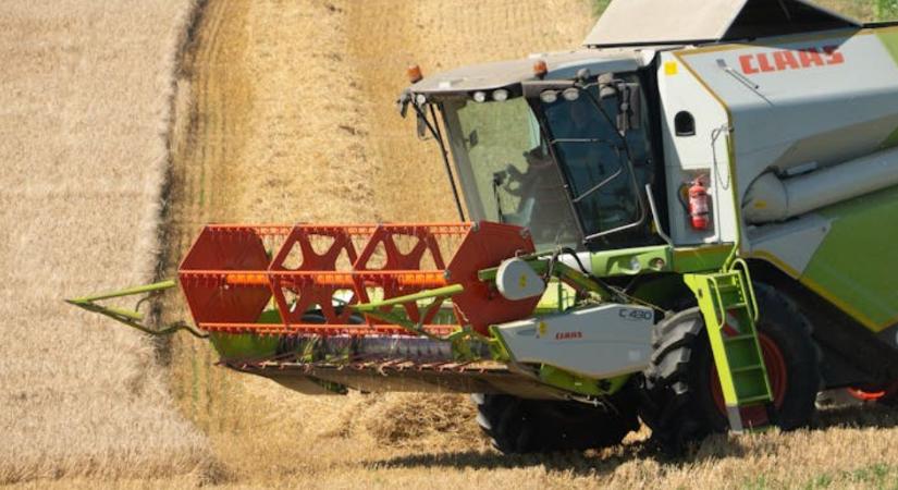 A kezdeti remények után veszteséges lesz az árpatermés Békésben - Agroinform