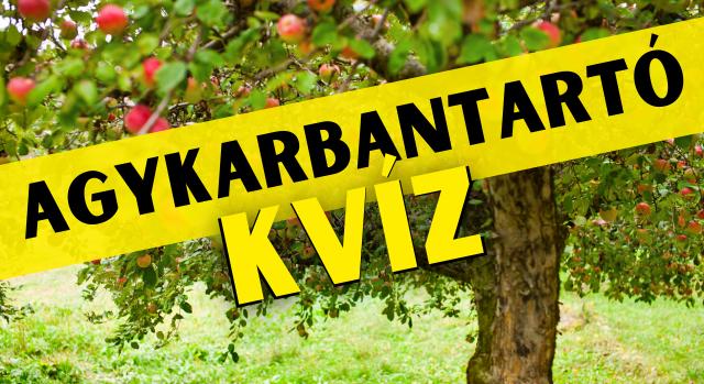 Napi agykarbantartó: Fejleszd az elméd! - Keresztlabda