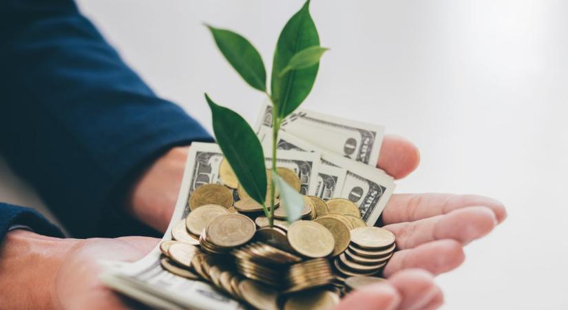 A tudatos pénzügyi tervezés alapjai – hogyan válassz felelősen? - Zaol