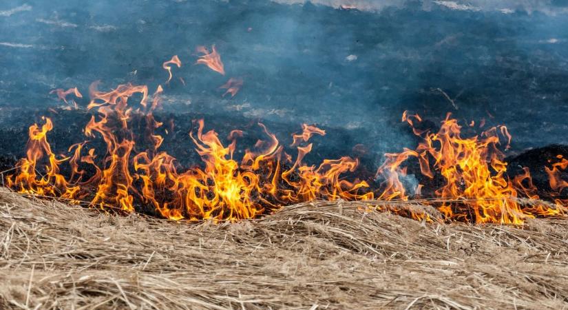 Egyszerű zárlathoz riasztották a szerelőket, de az állomásnál rémisztő látvány fogadta őket - Szoljon