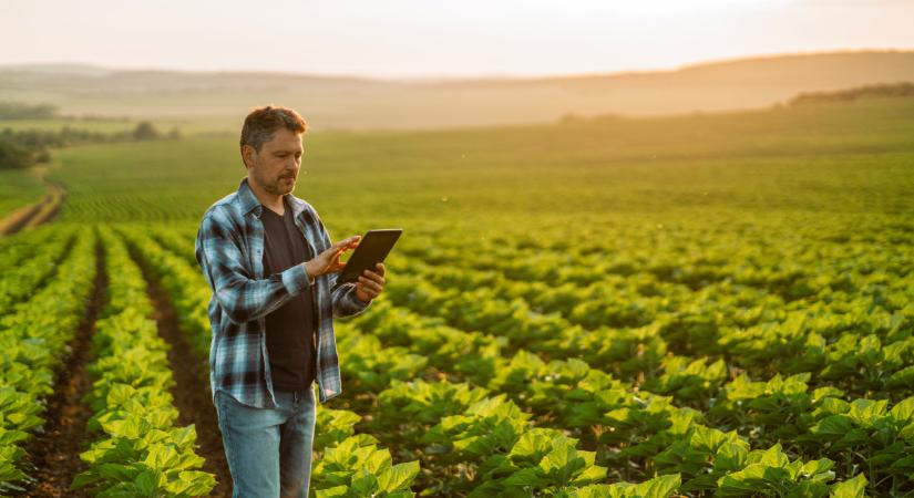 Figyelmeztetéseket küld az Államkincstár: te is kaphatsz ilyen levelet - Agrárszektor