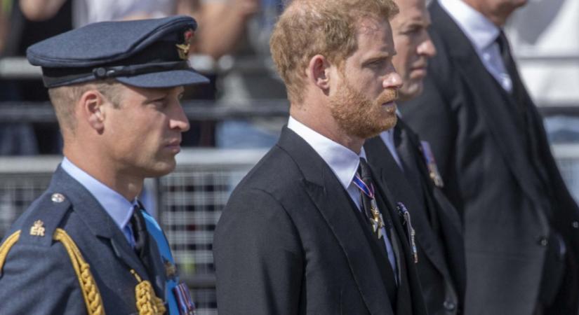 Ezért nem beszél többé Vilmos herceg Harry hercegről - Elle