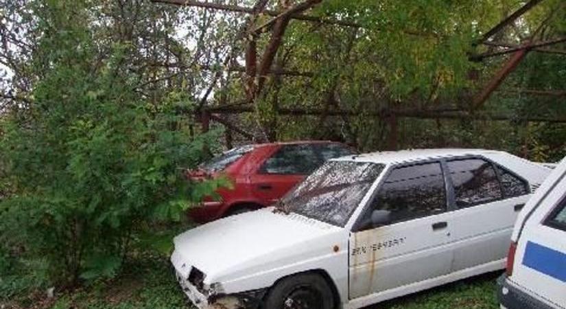 Három ingatlanba gyűjtötte a 23 tonna szemetet - Sonline