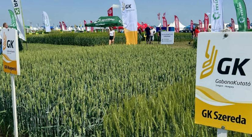 Magyar fajták, magyar jövő – irányt mutat a Gabonakutató  VIDEÓ - Agroinform