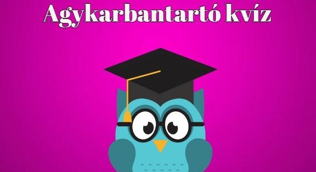 Agykarbantartó kvíz - Lehet, hogy ez egy olyan kvíz, amiben eléred a maximális tíz pontot - Alon