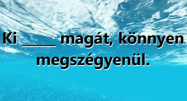 Napi közmondás feladat: Ki tudod egészíteni? - Keresztlabda