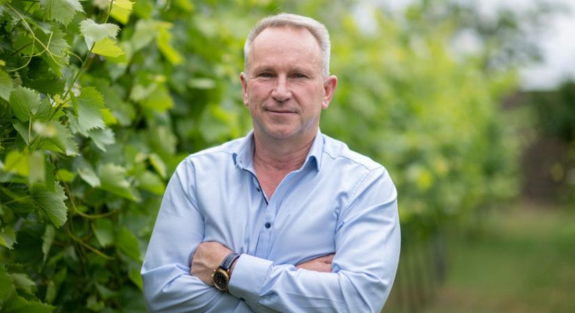 Veszélyben a magyar bor jövője: akik ezt nem lépik meg, lehúzhatják a rolót - Agrárszektor