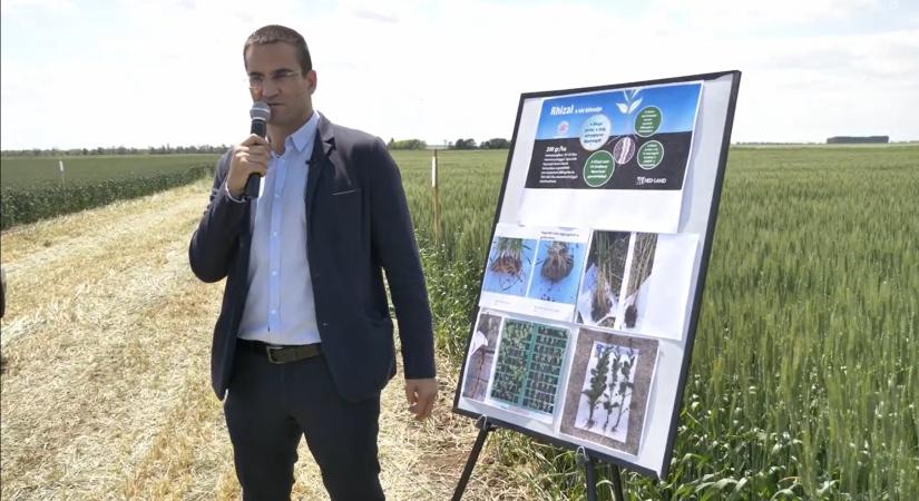 Hed-Land Hungária Kft. - Agrotrend