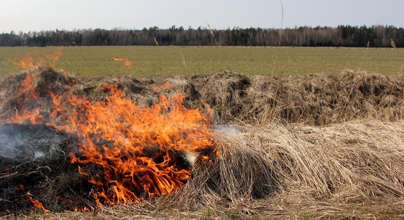 Elpusztult a termés: 44 hektár gabonaföld vált a tűz martalékává - Agroinform