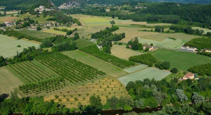 Javítás szankció nélkül: szeptember végéig módosíthatók az egységes kérelmek - Agroinform
