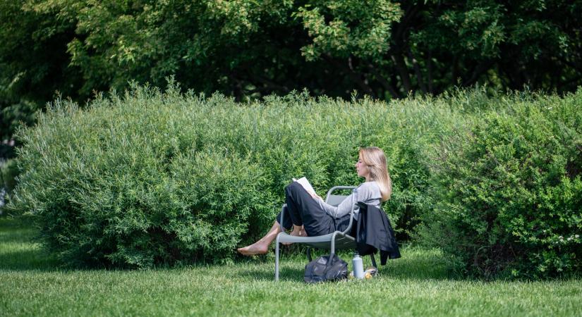 Konfliktuskezelés csillagjegyek szerint – kinek mi a gyenge pontja? - Bien