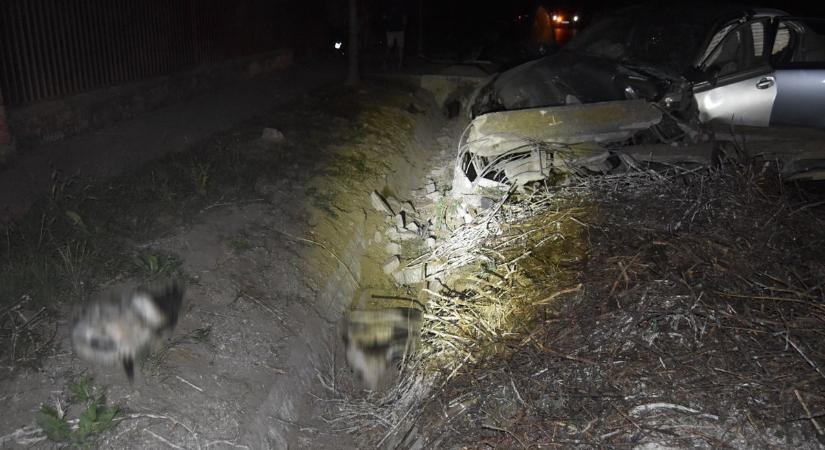 Így pusztított el egy pillanat alatt három gólyát a részeg sofőr Jutában - Sonline