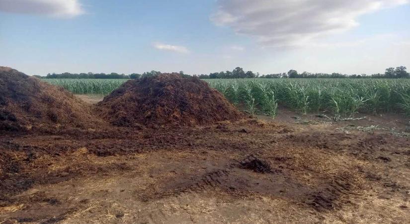 Tűz ütött ki egy trágyakazalban Gádoros külterületén - Körös Hírcentrum