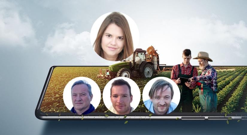 Ezért kincs az agráradat L. rész: Minőségi növénytermesztéssel és évtizedes digitalizációs tudással dolgozik a Molnár család - Agrárszektor