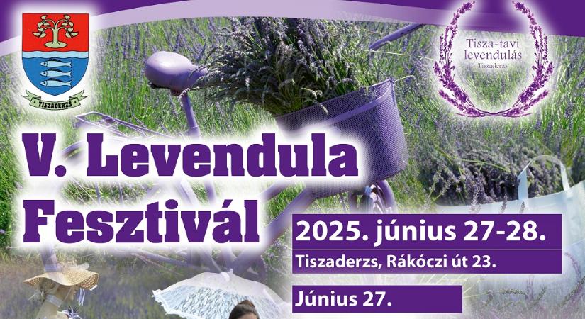 Tiszaderzsen illatozik a nyár: jön az V. Levendula Fesztivál! - Szolnoki Napló