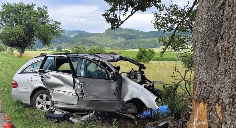 TRAGÉDIA: Nagy sebességgel fának ütközött, szörnyethalt a sofőr - Új Szó