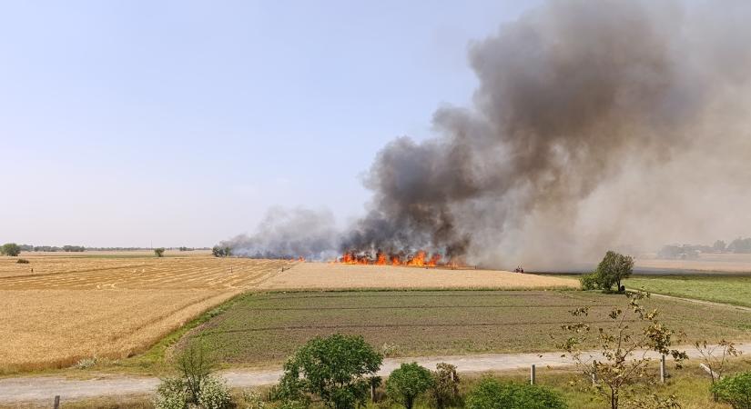 Bálázógép, gabona, erdő – mindent felemésztett a láng - Agroinform