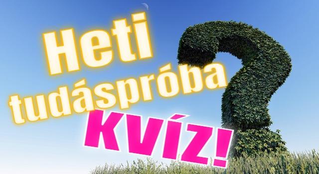 Tudáspróba: 10 kérdéses kvíz, amivel tesztelheted a tudásod. Mennyire tudsz helyesen válaszolni? - Keresztlabda