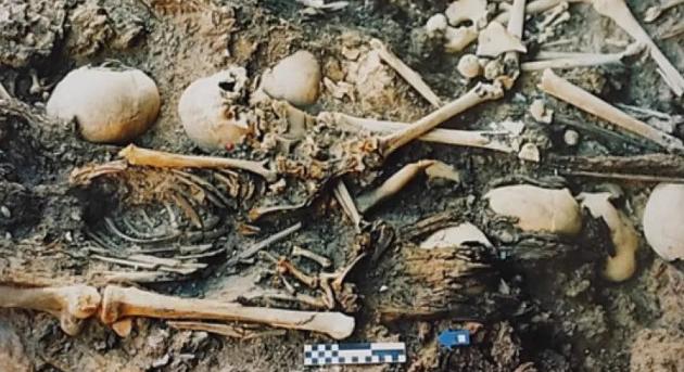 Amikor a rovarok mesélnek: El Hierro titkai - Múlt-kor