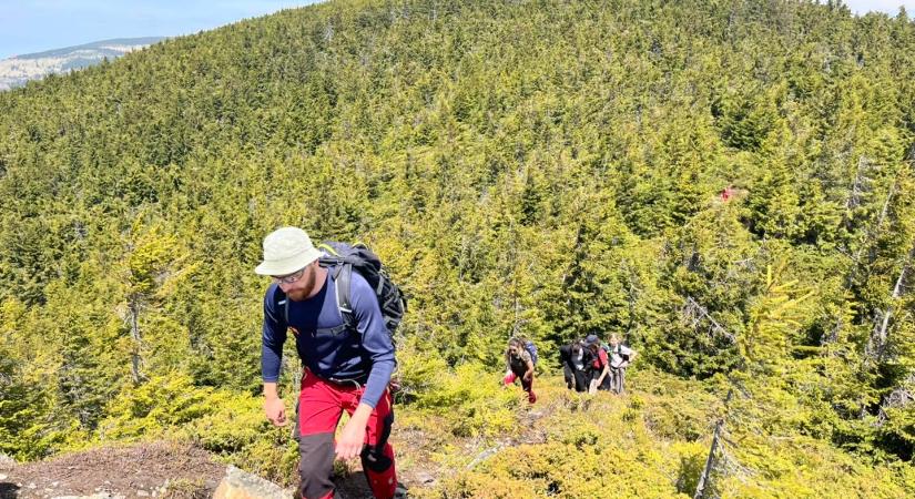 Jól járhatók a Hargita megyei turistautak - Maszol