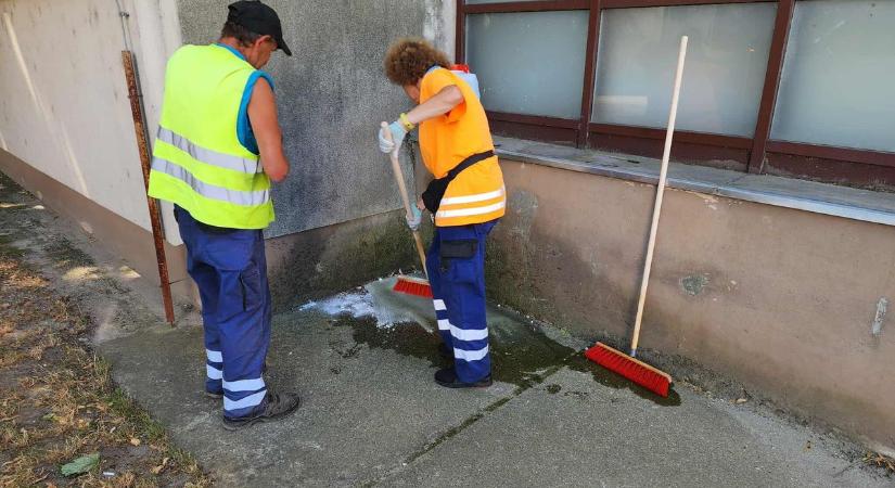 Gyomorforgató képek: hányás, ürülék, vizelet, vandalizmus egy veszprémi játszótéren - Veol